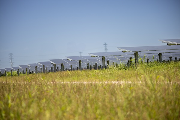 Enel Completes GulfStar, its Largest Power Plant in the U.S.